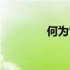 何为管理之道（何为管理）