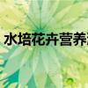 水培花卉营养液使用方法（水培花卉营养液）