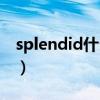 splendid什么意思啊（splendid是什么意思）