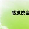 感觉统合ppt课件（感觉统合ppt）