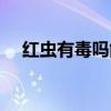 红虫有毒吗能不能食用吗（红虫有毒吗）