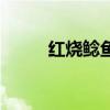 红烧鲶鱼块怎么做（红烧鲶鱼段）