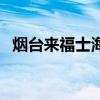 烟台来福士海洋工程公司（海洋工程公司）