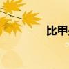 比甲是哪个朝代的（比甲）
