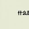 什么是nat（什么是navi轮）