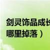 剑灵饰品成长祭品怎么升级（剑灵项链成长树哪里掉落）