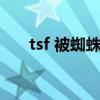 tsf 被蜘蛛腐化的巫女（tsfui是什么）