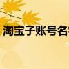 淘宝子账号名字前缀（淘宝子账号名字大全）