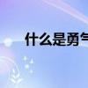 什么是勇气什么是勇敢（什么是勇敢）