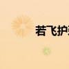 若飞护颈枕（若飞中药特效枕）