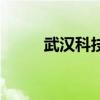 武汉科技大学（武汉大学三行诗）