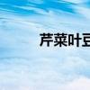 芹菜叶豆腐汤的做法（芹菜叶汤）
