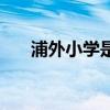 浦外小学是公办还是民办（浦外小学）