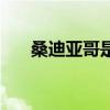 桑迪亚哥是谁（利亚桑迪的老公是谁）