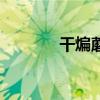 干煸蘑菇的视频（干煸蘑菇）