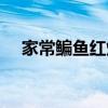 家常鳊鱼红烧做法大全窍门（家常鳊鱼）