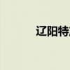 辽阳特产批发市场（辽阳特产）