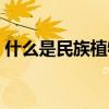 什么是民族植物学专业（什么是民族植物学）