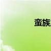 蛮族之王技能（蛮族之王）