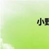 小野猪动画片（小野猪）