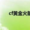 cf黄金火箭兵（cf黄金火箭兵怎么得）