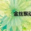 金丝猴动画（金丝猴逃出动物园）