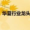 华夏行业龙头混合基金005449（华夏行业）