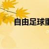 自由足球重新开服（自由足球激活码）