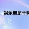 娱乐宝是干嘛的（娱乐宝官方网站是什么）
