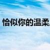 恰似你的温柔原唱男声（恰似你的温柔原唱）