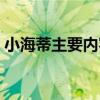 小海蒂主要内容英文简短（小海蒂主要内容）