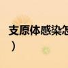 支原体感染怎么治疗呢（支原体感染怎么治疗）