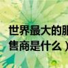 世界最大的服装公司（世界最大的品牌服装零售商是什么）