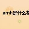 amh是什么检查项目正常值（amh是什么）