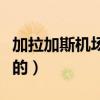 加拉加斯机场三字代码（加拉加斯是哪个国家的）
