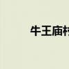 牛王庙村最新拆迁消息（牛王庙）