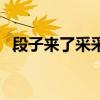 段子来了采采本人照片结婚照（段子来了）