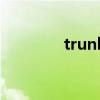 trunks中文意思（trunks）
