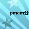 pmam分别上午下午（pmam插曲）