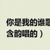 你是我的谁歌词是哪首（你是我的谁歌词要张含韵唱的）