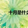 十月是什么星座（11 26是什么星座）