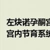 左炔诺孕酮宫内节育器又叫什么（左炔诺孕酮宫内节育系统）