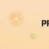 pp语音pc（pp语音）