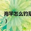 海竿怎么钓草鱼鲤鱼（钓草鱼鲤鱼的路亚亮片）