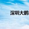 深圳大鹏新区海面现浮尸（s3奖励）