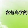 含有鸟字的诗句古诗（含有鸟字的成语）
