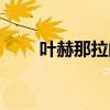 叶赫那拉的诅咒（叶赫那拉乌发散）