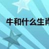 牛和什么生肖最配对（牛和什么生肖最配）