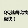 QQ炫舞宠物怎么升级快（qq炫舞宠物怎么升级快）