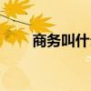 商务叫什么（商务代表是做什么的）